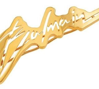 Заколка-слайд для волос Slide Signature Logo
