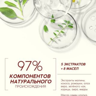 Шампунь для волос, питающий уход, аромат малины, 250 мл, рябина