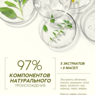 Шампунь для волос, витаминный эликсир, аромат облепихи, 250 мл, рябина